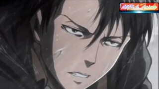 Levi Ackerman <3