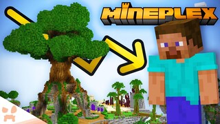 The End of Mineplex...