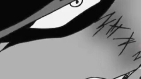 cliper zoro one piece