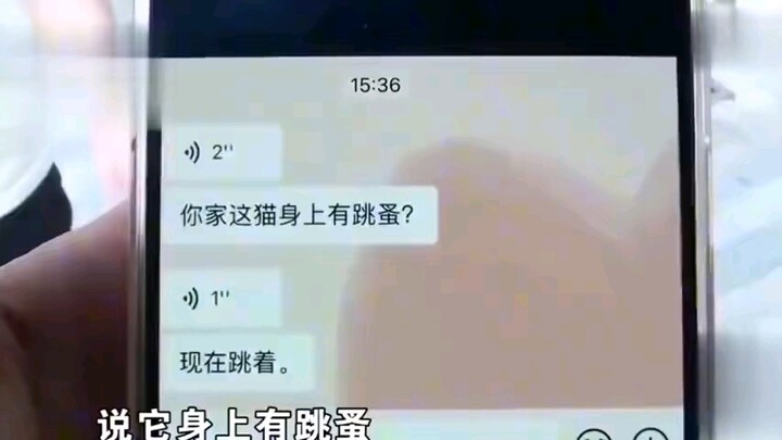 Chàng trai giúp trông hộ mèo của bạn miễn phí, cô gái trở về phát hiện chưa tắm cho mèo nên đòi bồi 