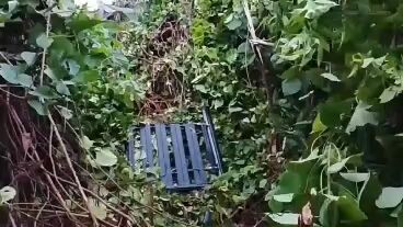 laka lantas. mobil terjun dijurang