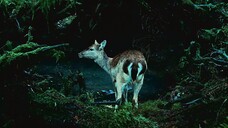 twilight saga (TAGALOG DUBBED)