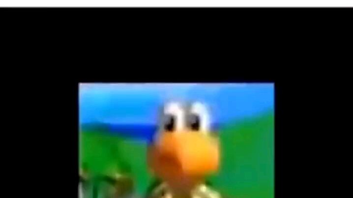Me when bees