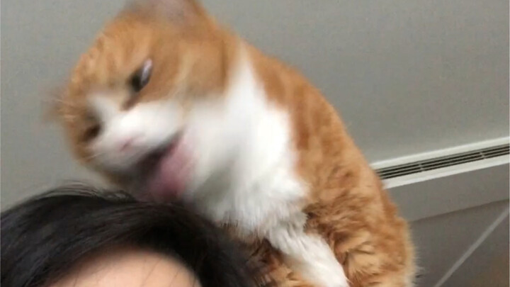 درس التمثيل الخاص بصغيرة مي: مائة طريقة للتعبير عن الغثيان (خطأ