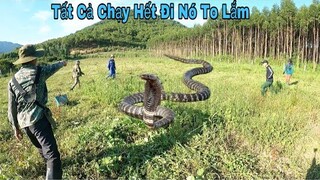 Tiếng La Hét Của Cặp Vợ Chồng Trẻ Đi Cắt Cỏ Thuê Suýt Bị Rắn Độc Cắn.|Sắn Bắt Ẩm Thực Vùng cao