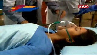 246 C | Uttaran Bahasa Indonesia