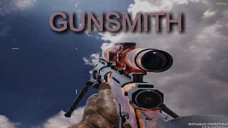 The best DLQ Gunsmith Loadout