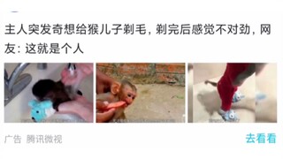 The monkey was shaved and it turned out to be a human