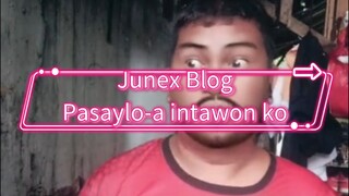 Pasaylo-a intawon ko.