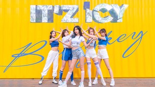 【Badykey】การเต้นคัฟเวอร์ ICY-ITZY ~ เต้นกระโดดโลดเต้นจนโลกสะเทือน! เต้นไฟแรงที่สุดของเกิร์ลกรุ๊ปปีนี