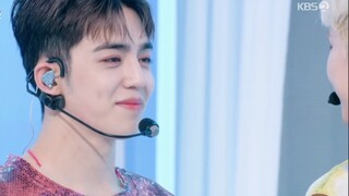 【seventeen】world 小甜曲，这么会扭不要命啦