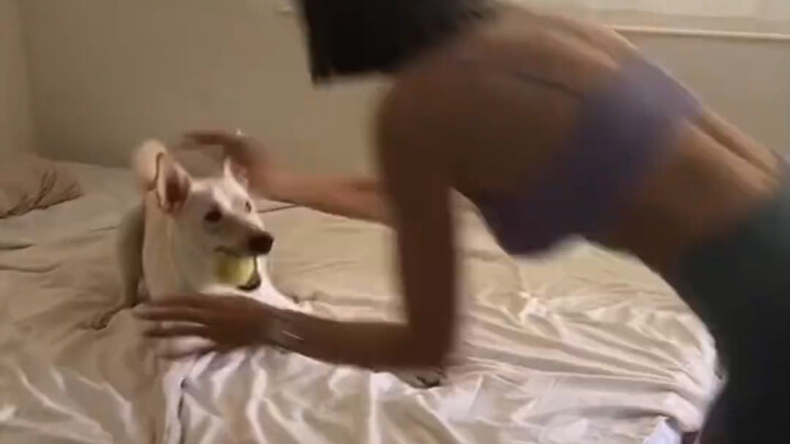 Ai cũng biết rằng mèo và phụ nữ đều được làm từ nước.