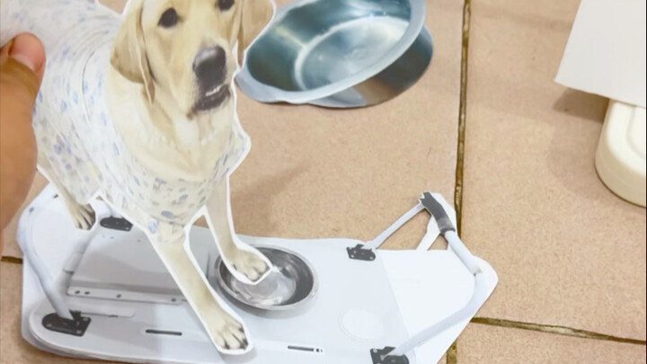 大型纸片戏：《开饭了啊》