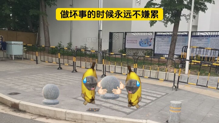 إن القيام بالأشياء السيئة لن يصبح مملًا أبدًا