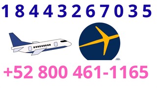 Expedia Customer Service | Full Guide to 24/7 Chat, Call & Email Support