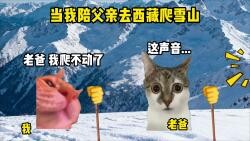 Ketika saya menemani ayah mendaki gunung salju di Tibet