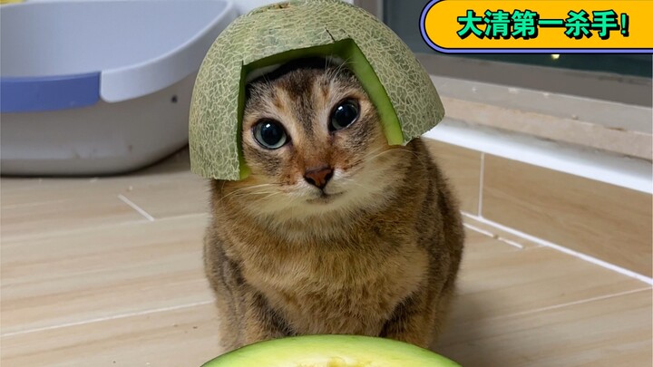 سمعت أنه لا أحد يستطيع أن ينظر إلى الأخت مي في العين لمدة عشر ثوانٍ!