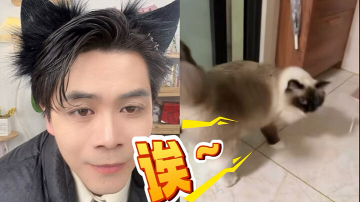 แมวที่เคยไปทำงานแล้วนี่แหละถึงจะเข้าใจเรื่องราวความรักของแมวจริงๆ! ฮ่าๆๆ