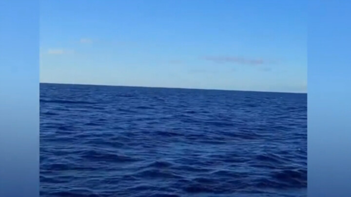 Cảm ơn, chứng sợ biển sâu lại tái phát rồi, hóa ra tôi đúng là chỉ thích ở ven biển mà thôi.