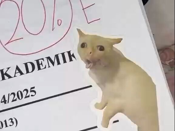 What’s the point of collecting meme images?