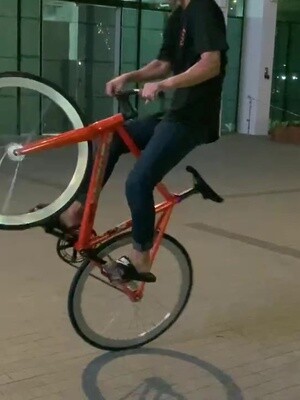 Keeping in spiny fixie