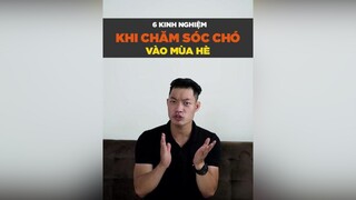 6 kinh nghiệm khi chăm sóc chó vào mùa hè petonesaigon tuitienpet petnhatrang dcgr