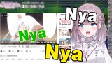 The boss's Bakemonogatari cat language imitation, after watching it, you can only say nyanyanya