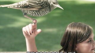 当上帝是个渣男，这个世界会变成什么样子？