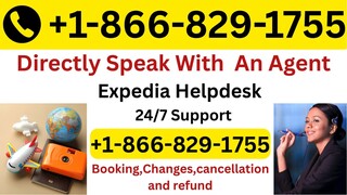 Talk to Someone At {{Expedi𝔞®}} USA Through Contact® Numbers The Detailed Guide