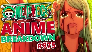 Toki's LAST WORDS! One Piece Episode 975 BREAKDOWN