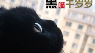 لدي هوس بجمع لحى أسيادنا! والسبب في ذلك هو هذا بالفعل!