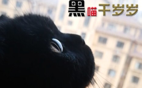 لدي هوس بجمع لحى أسيادنا! والسبب في ذلك هو هذا بالفعل!