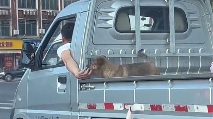 How could you possibly hide your love for puppies?