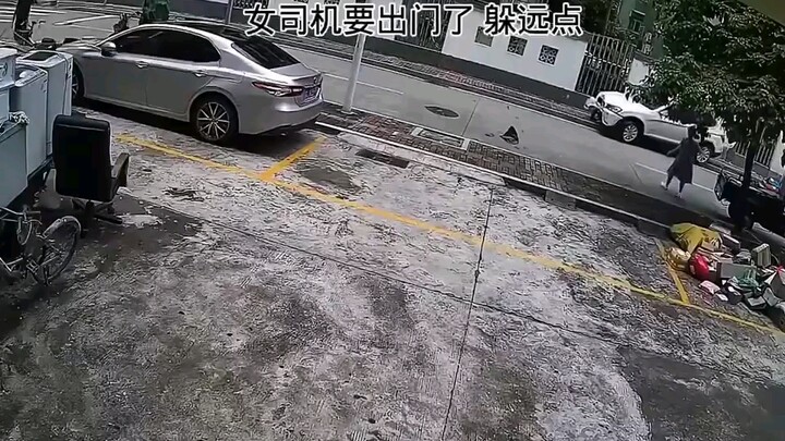 สาวขับรถกำลังจะออกเดินทาง หลบให้ไกลหน่อย!