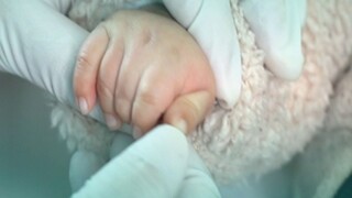 Bác sĩ địa phương không chẩn đoán được vấn đề, nhưng người mẹ vẫn khăng khăng rằng có điều gì đó khô