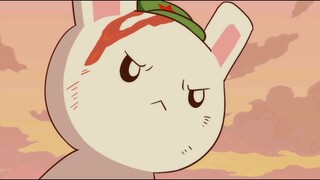 Episode 92丨We always call Russians a fighting nation, but in fact, rabbits are the real fighting nat