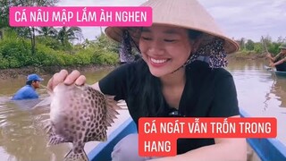 Phần 2| Đi bắt cá Ngát và cái kết
