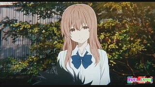 Shouya Ishida x Nishimiya Shouko ❤️ #Amvhay