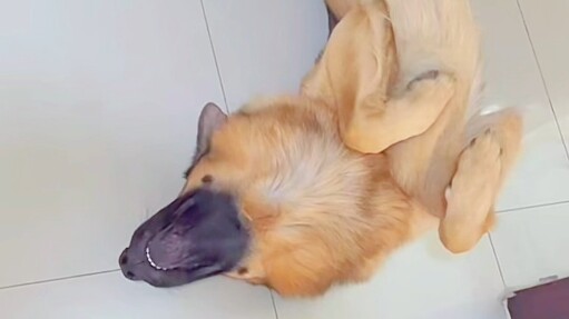 Doggy: I hate people who don’t respect boundaries.