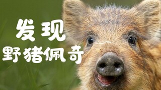 【Little Hero】I Have Videos of You as a Kid!! Super Cute Animal Compilation Vol. 14: "Mythical Forest