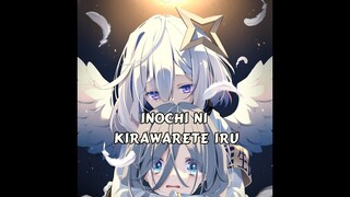 [Hololive Vietsub COVER SONG] Inochi ni Kirawareteiru-Amane Kanata