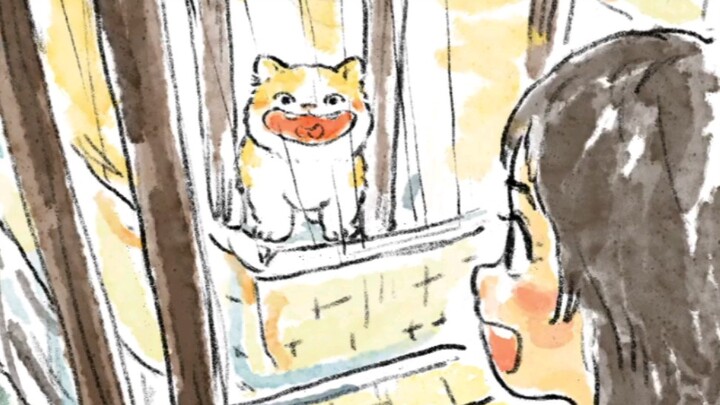 Kitten: Neighbor, hello!