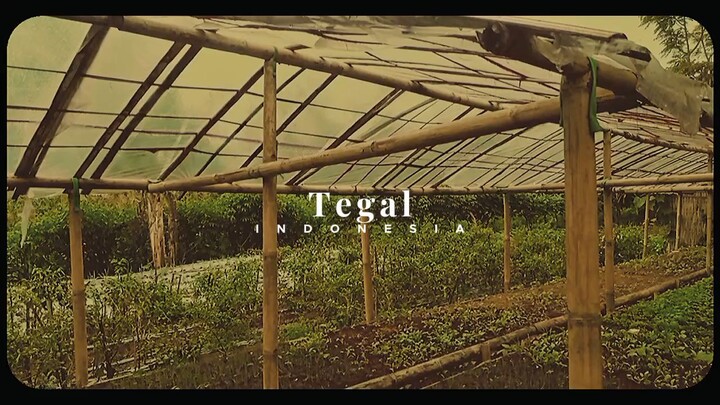 pesona petani