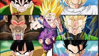 Come and see the power of the strongest single warrior in the Z period!