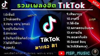 รวมเพลงฮิตในTikTokล่าสุด รวมเพลงฮิตในแอพติ๊กต๊อกล่าสุด เพราะๆฟังตอนขับรถ