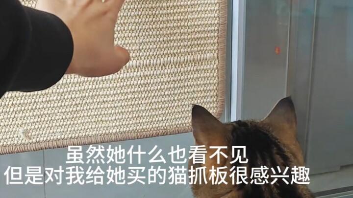 เธอมองไม่เห็น แต่เธอก็รักฉัน