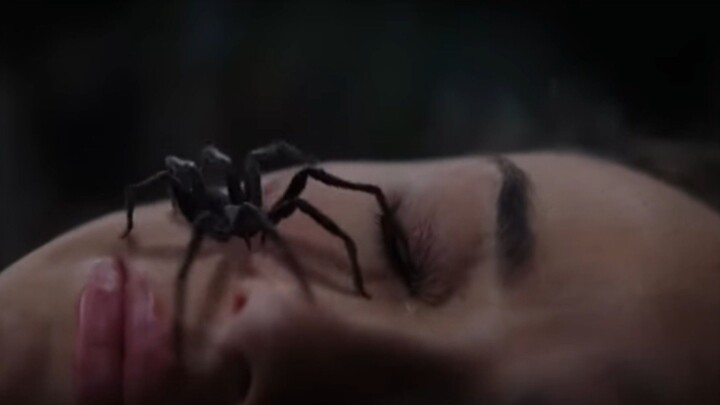SPIDER ISLAND