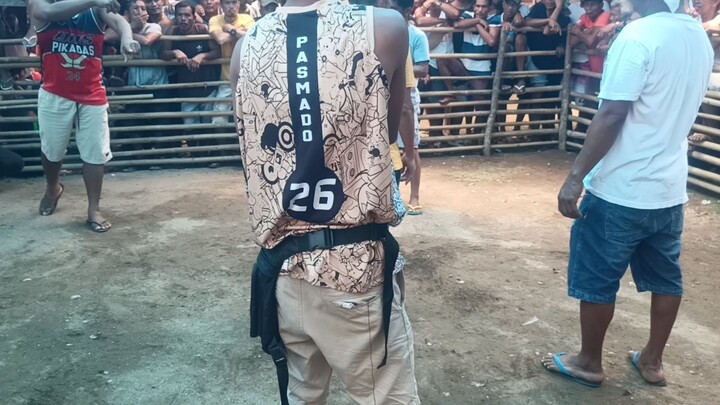 Fiesta Liguan Win