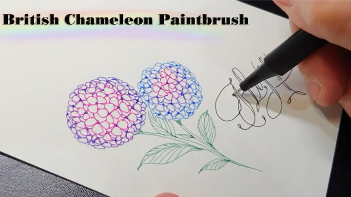 [DIY]How to Draw Hydrangeas with Chameleon Pens?