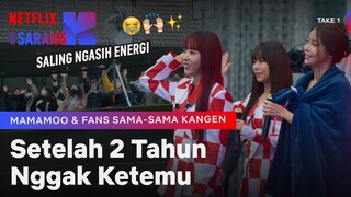 Ketika MAMAMOO & MOMOO Saling Melepas Rindu ❤️ | Take 1 | Clip